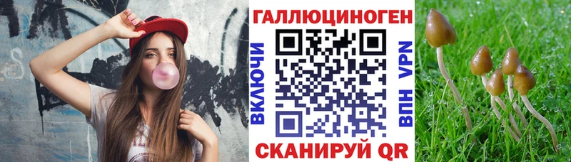 Псилоцибиновые грибы Psilocybine cubensis Усть-Лабинск